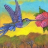 aceo-hummer1