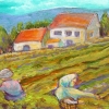 aceo-tuscanharvest-websize