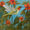 kathe-hummingbird2