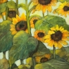 kathe-sunflowers12x24-revised